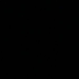 Meet your Posher, Lilly